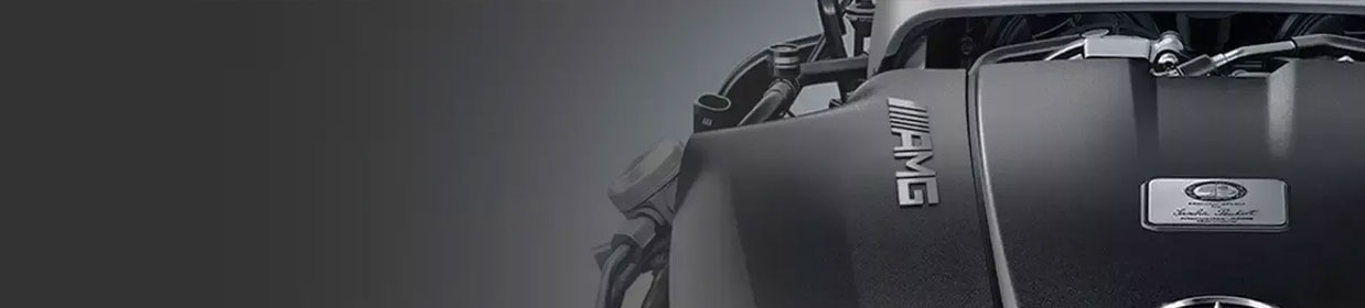 banner 19
