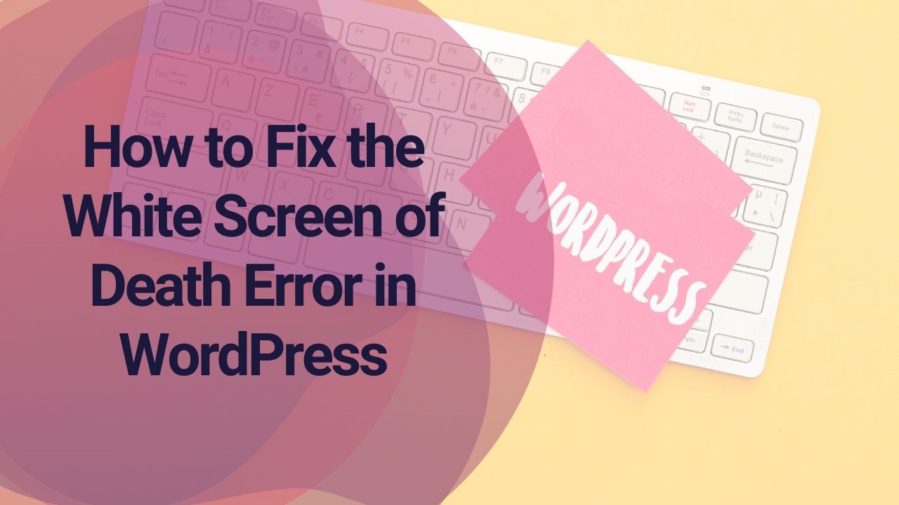 How to Fix the White Screen of Death Error in WordPress